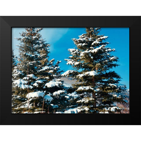 Evergreens Black Modern Wood Framed Art Print by Singleton, Ashley