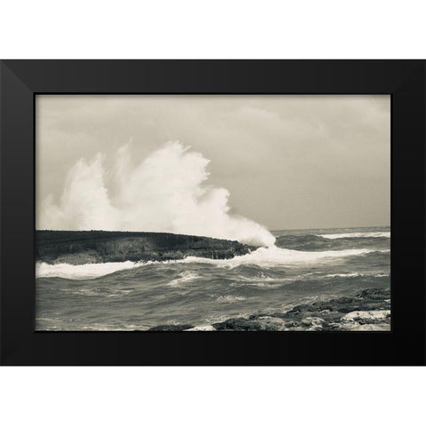 Splash Zone II Black Modern Wood Framed Art Print by Singleton, Ashley