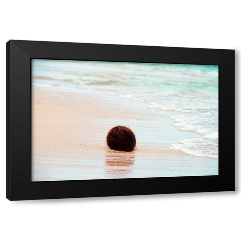 Coconut Black Modern Wood Framed Art Print by Singleton, Ashley