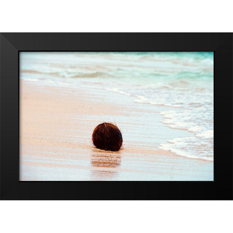 Coconut Black Modern Wood Framed Art Print by Singleton, Ashley