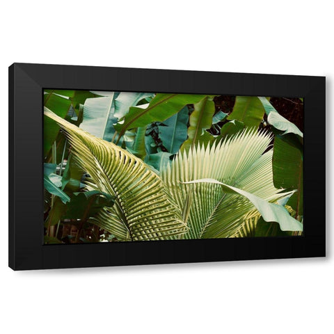 Jungle Love Black Modern Wood Framed Art Print by Singleton, Ashley