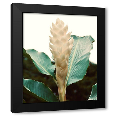 Blossom Black Modern Wood Framed Art Print with Double Matting by Singleton, Ashley