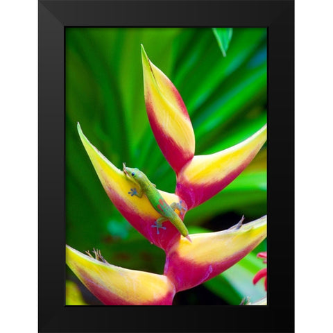 Liz Black Modern Wood Framed Art Print by Singleton, Ashley