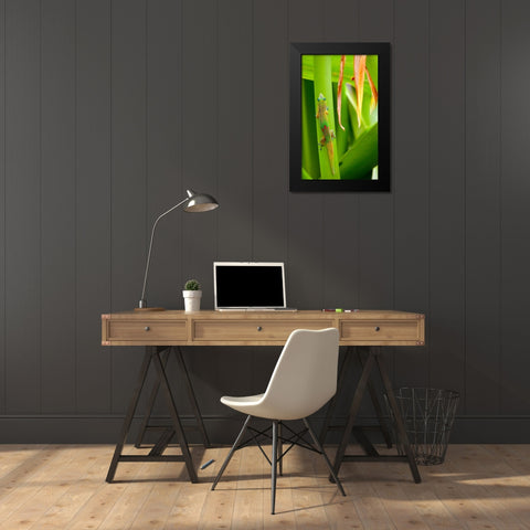 Lizs Back Black Modern Wood Framed Art Print by Singleton, Ashley