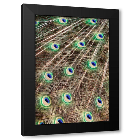 Plume Black Modern Wood Framed Art Print by Singleton, Ashley