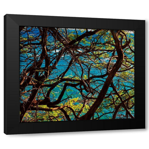 Branches Black Modern Wood Framed Art Print with Double Matting by Singleton, Ashley