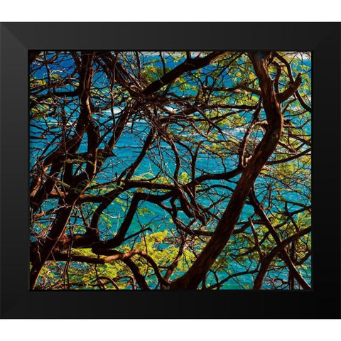 Branches Black Modern Wood Framed Art Print by Singleton, Ashley