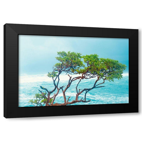 Tropical Trees Black Modern Wood Framed Art Print by Singleton, Ashley
