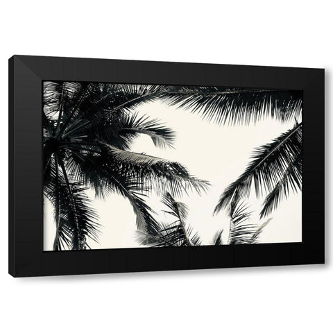 BW Palms Black Modern Wood Framed Art Print by Singleton, Ashley