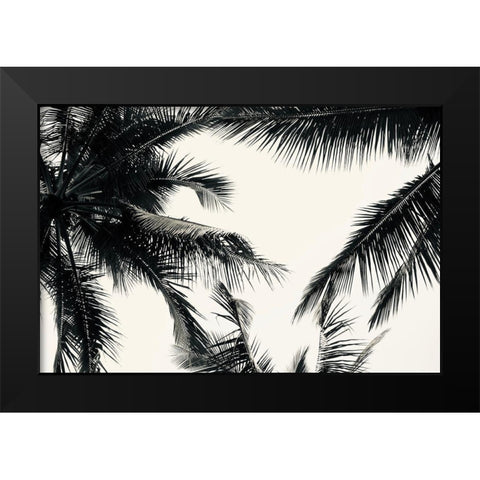 BW Palms Black Modern Wood Framed Art Print by Singleton, Ashley