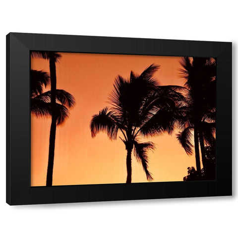 Palms at Sunset Black Modern Wood Framed Art Print by Singleton, Ashley