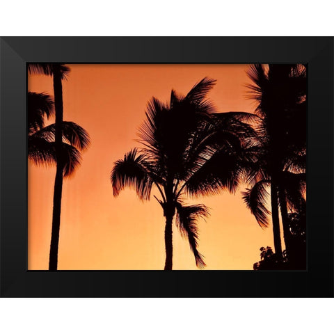 Palms at Sunset Black Modern Wood Framed Art Print by Singleton, Ashley