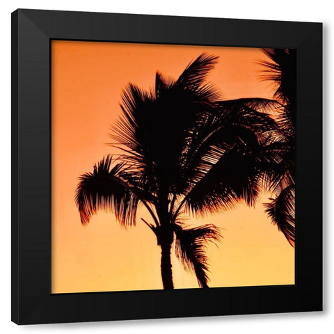 Palms at Sunset II Black Modern Wood Framed Art Print with Double Matting by Singleton, Ashley
