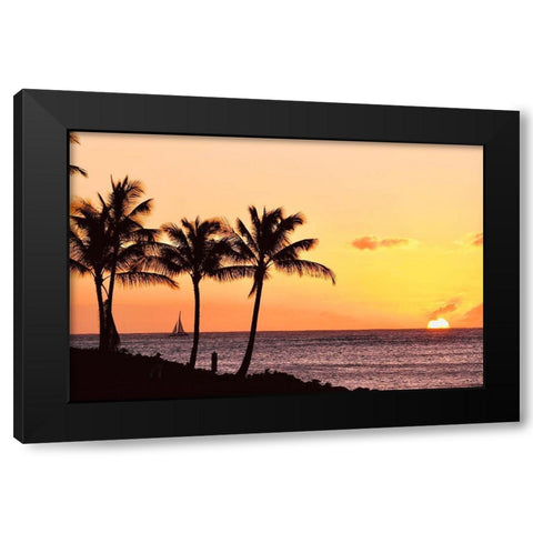 Palms at Sunset IV Black Modern Wood Framed Art Print by Singleton, Ashley