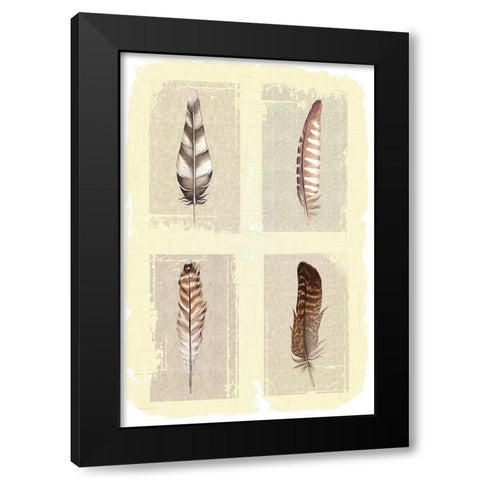 Traditional Figurative Feathers Black Modern Wood Framed Art Print with Double Matting by ND Art