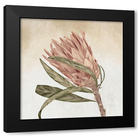 Braids and Bunches Black Modern Wood Framed Art Print with Double Matting by ND Art