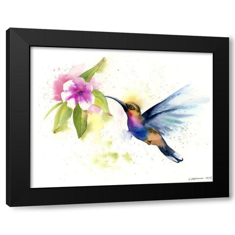Hummingbird Black Modern Wood Framed Art Print with Double Matting by Shefranov, Olga