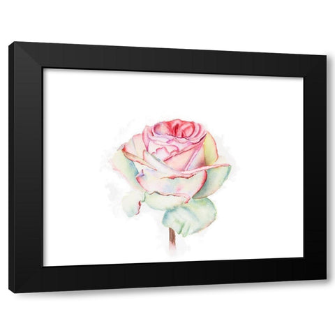 Rose Black Modern Wood Framed Art Print by Shefranov, Olga