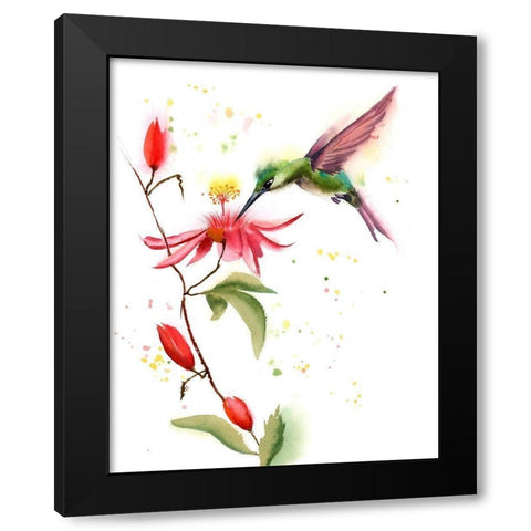 Humming Bird II Black Modern Wood Framed Art Print with Double Matting by Shefranov, Olga