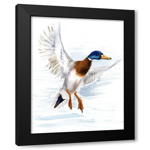 Mallard Black Modern Wood Framed Art Print with Double Matting by Shefranov, Olga