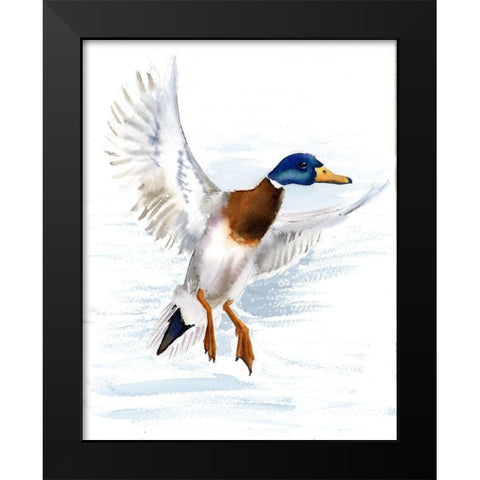 Mallard Black Modern Wood Framed Art Print by Shefranov, Olga