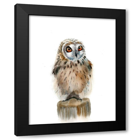 Spotted Owl Black Modern Wood Framed Art Print by Shefranov, Olga