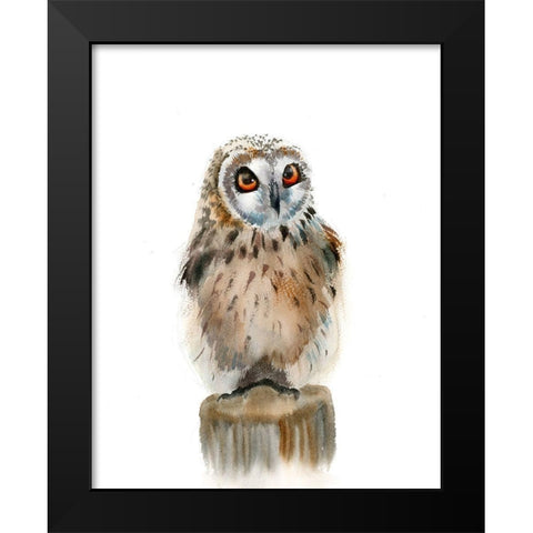 Spotted Owl Black Modern Wood Framed Art Print by Shefranov, Olga