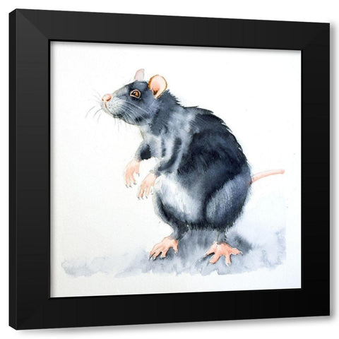 Rat II Black Modern Wood Framed Art Print by Shefranov, Olga
