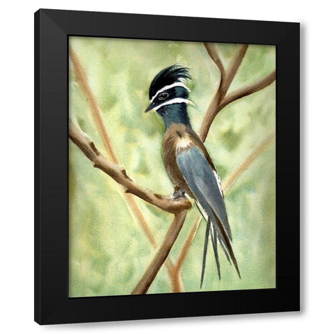 Bird on Branch Black Modern Wood Framed Art Print by Shefranov, Olga