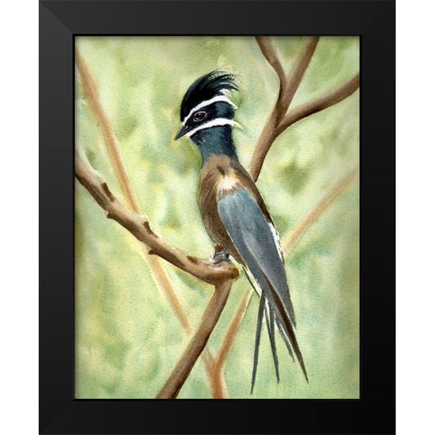 Bird on Branch Black Modern Wood Framed Art Print by Shefranov, Olga