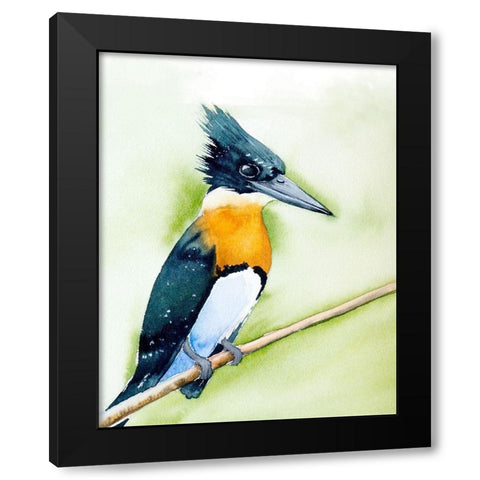 Black Beak II Black Modern Wood Framed Art Print by Shefranov, Olga