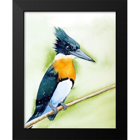 Black Beak II Black Modern Wood Framed Art Print by Shefranov, Olga