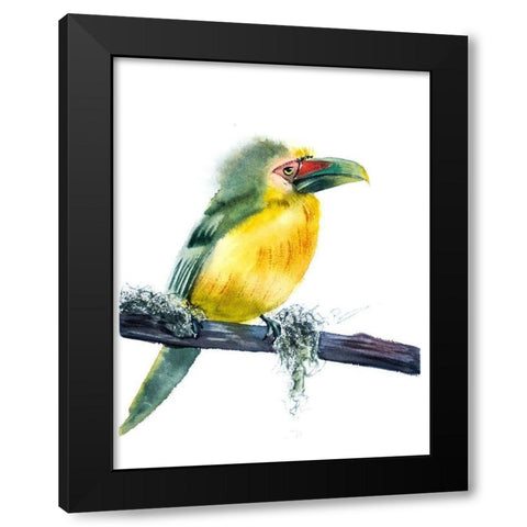 Tropical Bird Black Modern Wood Framed Art Print by Shefranov, Olga