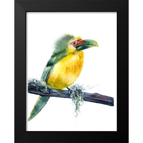 Tropical Bird Black Modern Wood Framed Art Print by Shefranov, Olga