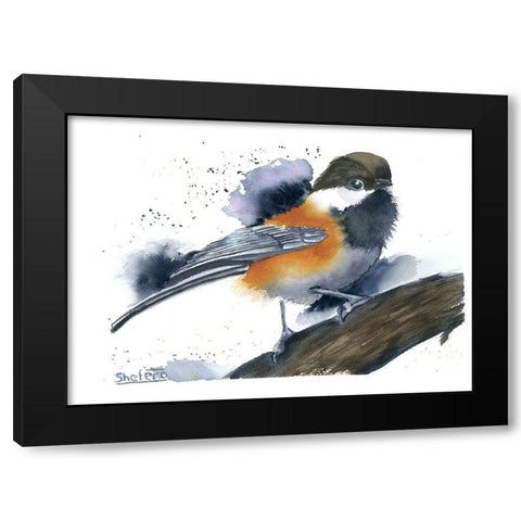 Chickadee II Black Modern Wood Framed Art Print with Double Matting by Shefranov, Olga