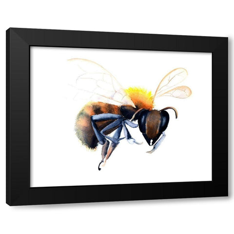 Bee Black Modern Wood Framed Art Print with Double Matting by Shefranov, Olga