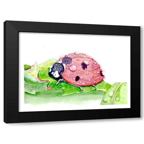 Ladybug Black Modern Wood Framed Art Print with Double Matting by Shefranov, Olga