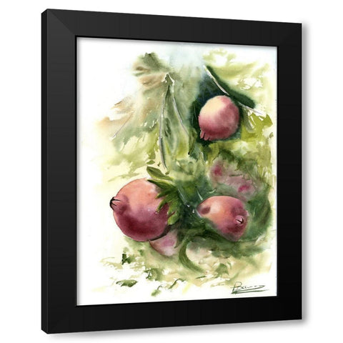 Pomegranate Black Modern Wood Framed Art Print with Double Matting by Shefranov, Olga