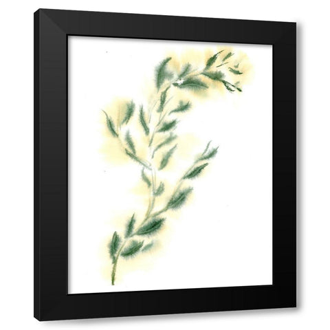 Vine III Black Modern Wood Framed Art Print by Shefranov, Olga
