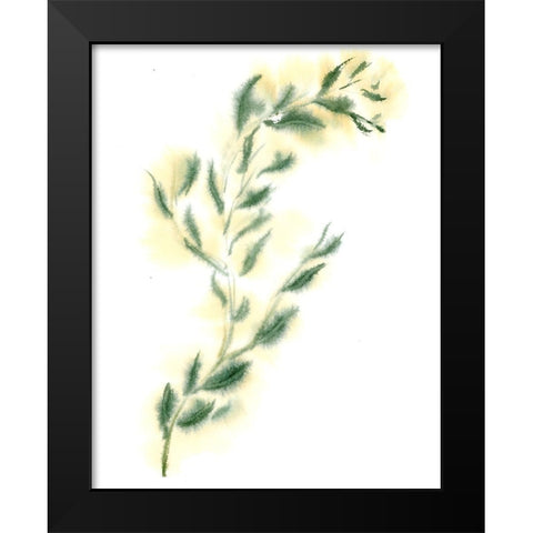 Vine III Black Modern Wood Framed Art Print by Shefranov, Olga