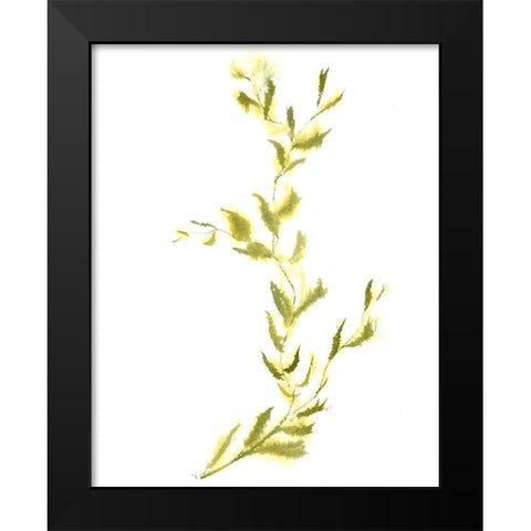 Vine IV Black Modern Wood Framed Art Print by Shefranov, Olga
