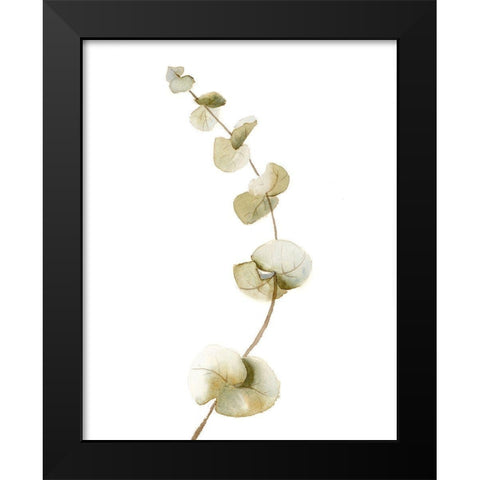 Botanical II Black Modern Wood Framed Art Print by Shefranov, Olga