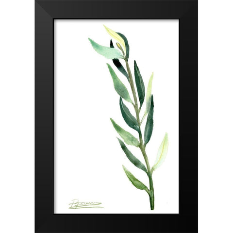 Botanical IV Black Modern Wood Framed Art Print by Shefranov, Olga