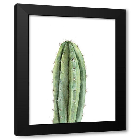 Cactus III Black Modern Wood Framed Art Print with Double Matting by Shefranov, Olga