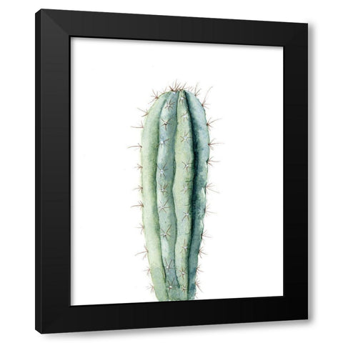 Cactus IV Black Modern Wood Framed Art Print with Double Matting by Shefranov, Olga