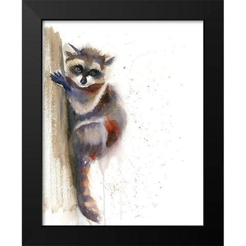 Raccoon II Black Modern Wood Framed Art Print by Shefranov, Olga