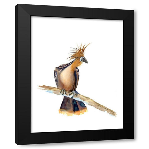 Perched Bird II Black Modern Wood Framed Art Print with Double Matting by Shefranov, Olga
