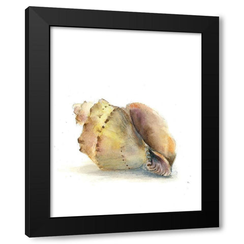 Shell II Black Modern Wood Framed Art Print with Double Matting by Shefranov, Olga
