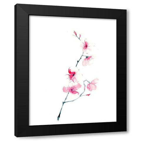 Cherry Blossom Black Modern Wood Framed Art Print with Double Matting by Shefranov, Olga