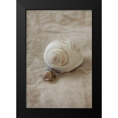 Shells I Black Modern Wood Framed Art Print by P.S. Art Studios